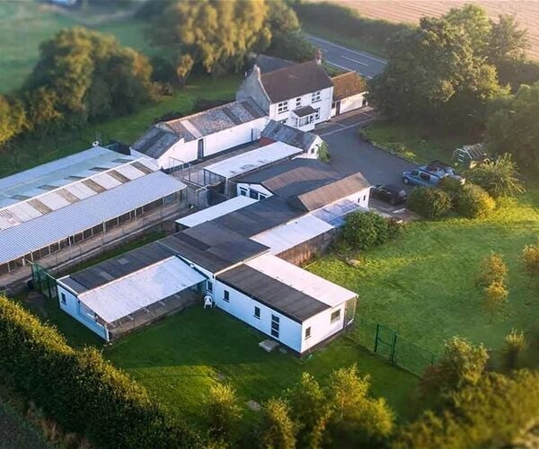 Kennels, Cattery & Equestrian businesses For Sale in Ferryhill Photo 1
