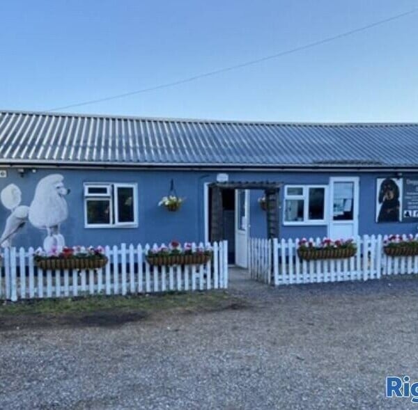 Busy grooming salon for sale in Essex. Photo 1