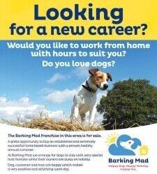 Barking Mad Milton Keynes dog Boarding Franchise for sale