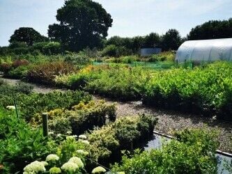 Largest Retail and Wholesale Horticultural Nursery in Wales Largest Retail and Wholesale Horticultural Nursery in Wales