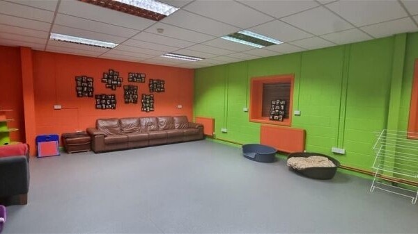 Highly Rated Doggy Day Care & Grooming Centre on the Outskirts of York Photo 1