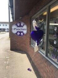Fully equipped dog grooming salon