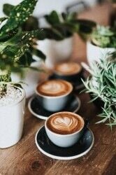 Rapidly growing Café - Located in West Kent Rapidly growing Café - Located in West Kent