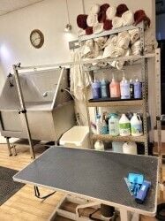 DOG GROOMING BUSINESS FOR SALE, Henfield, West Sussex