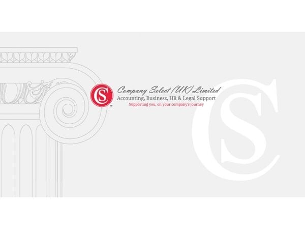 Well Established Management Consultancy Business For Sale