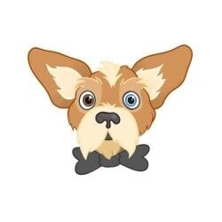 Highly Popular Pet Boutique Business For Sale In Weybridge, Surrey Highly Popular Pet Boutique Business For Sale In Weybridge, Surrey