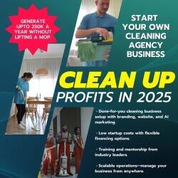 Remote Online Domestic Cleaning Business Remote Online Domestic Cleaning Business