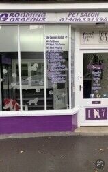 Dog grooming salon is for sale. Dog grooming salon is for sale.