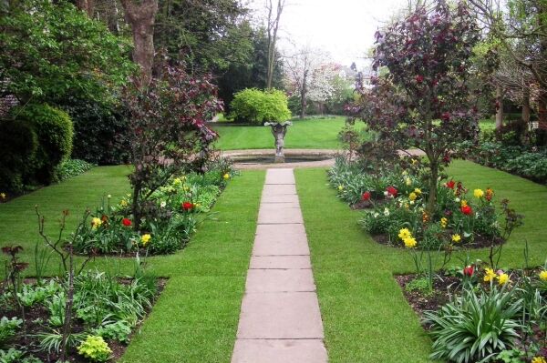 Garden Maintenance - West London Photo 1