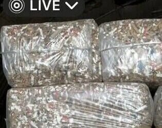 Recycling/ Animal Bedding Manufacturer Recycling/ Animal Bedding Manufacturer