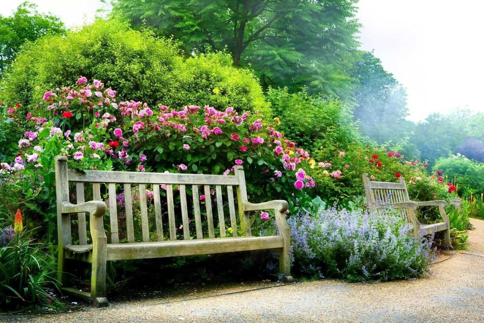 WELL ESTABLISHED PROPERTY AND GARDEN MAINTENANCE BUSINESS FOR SALE