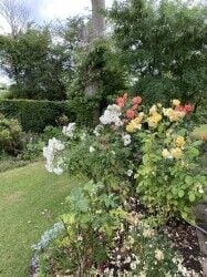 Gardening business in Chandlers Ford Hampshire