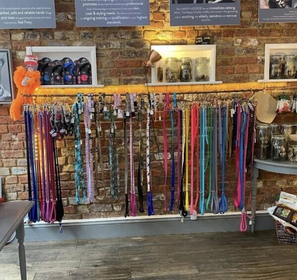 Highly rated Dog & Cat Grooming Salon & Boutique in affluent North London location  Photo 2