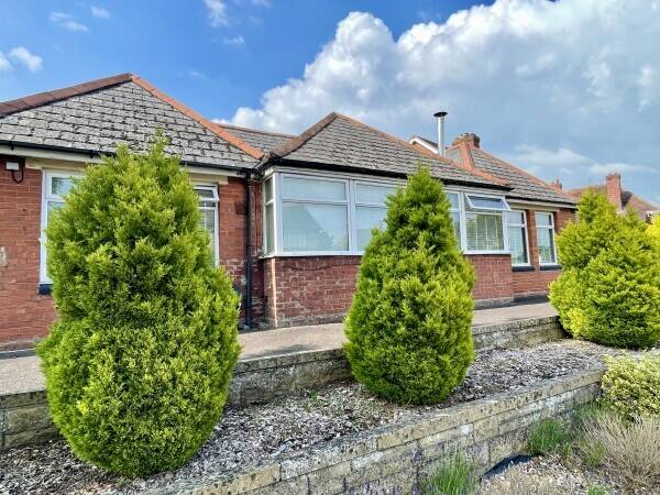 Established Cat Hotel and owners residence Photo 2