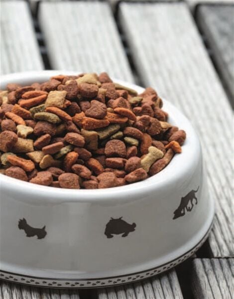 SUPPLIER OF VARIOUS PET GOODS SUPPLIER OF VARIOUS PET GOODS