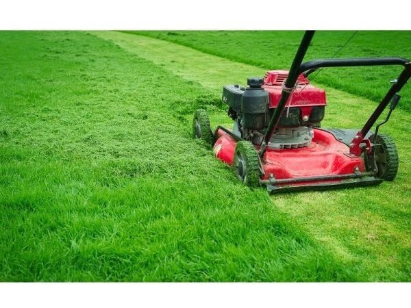 Highly rated garden services business for sale