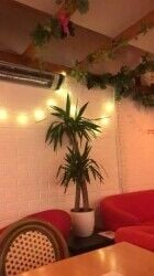 Cafe & Restaurant for sale