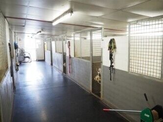 Kennels, Cattery & Equestrian businesses For Sale in Leeds Photo 1