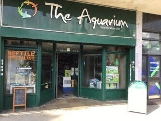 Well established aquatic pet shop for sale Photo 1