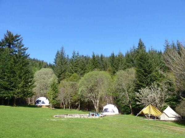 Camping and Glamping business close to the shores of Loch Ness Camping and Glamping business close to the shores of Loch Ness