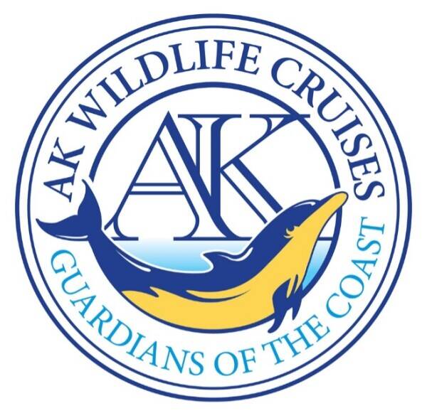 Unique Coastal Wildlife Cruises and Charters Marine Business in Cornwall for Sale