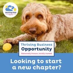 Established Dog Boarding & Pet Care Franchise for Sale on the Wirral Photo 1