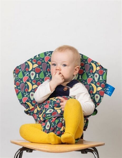 A PROVIDER OF ESSENTIAL BABY TRAVEL PRODUCTS A PROVIDER OF ESSENTIAL BABY TRAVEL PRODUCTS