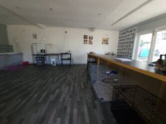 Dog groomers shop for rent