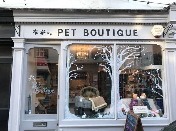 Established Pet Boutique and Grooming Business Located in Twickenham