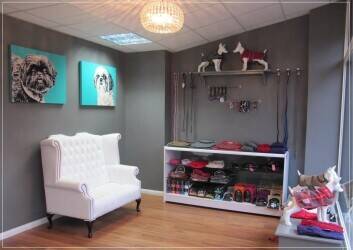 Dog Grooming Business for Sale in Farnborough Dog Grooming Business for Sale in Farnborough