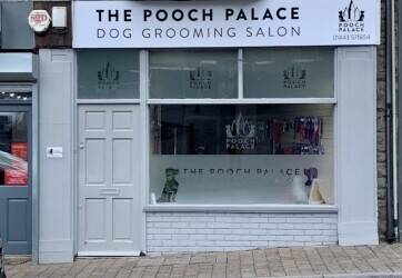 Dog grooming business for sale Tonypandy 