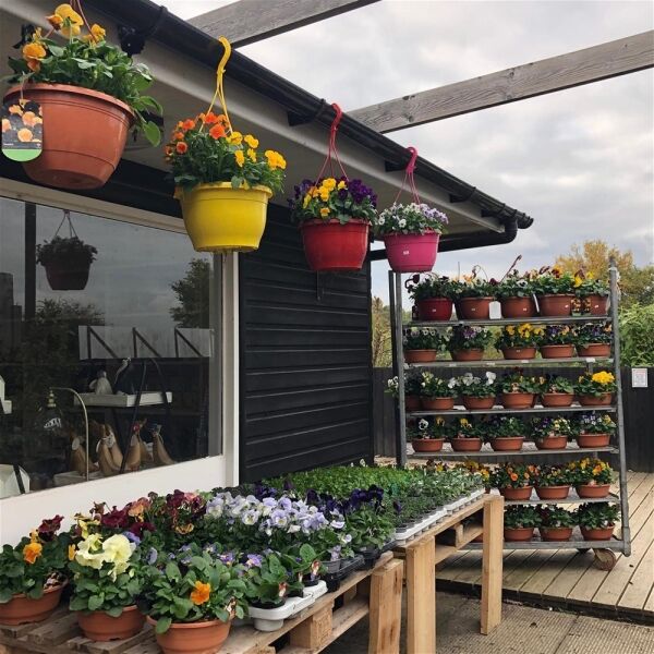 FAMILY-RUN FARM AND GIFT SHOP
