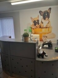 Doggie Wash and Grooming in Dorchester Doggie Wash and Grooming in Dorchester