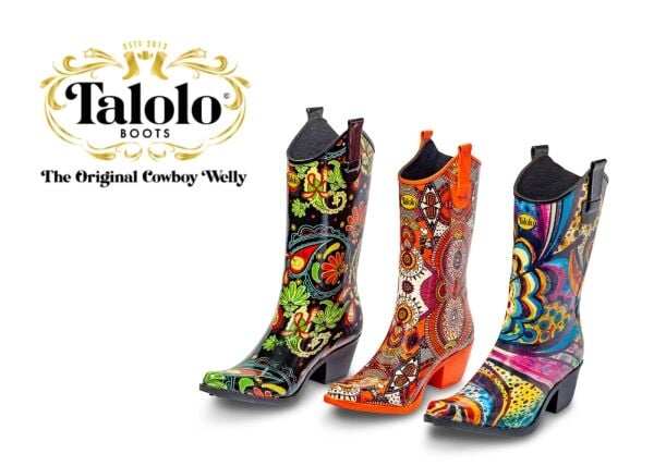 Established Online Footwear Retailer