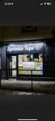 Ice cream business for sale in Bonnybridge 