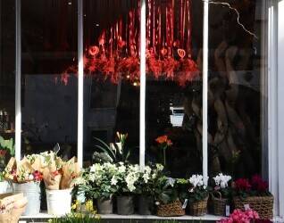 West End Luxury Florist for Sale West End Luxury Florist for Sale