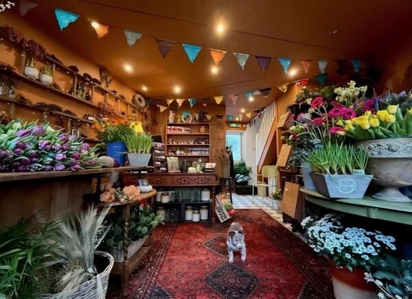 POPULAR FLORIST