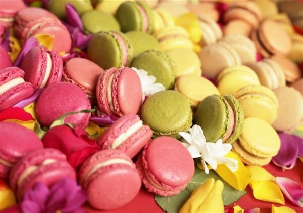 AWARD-WINNING ARTISAN MACARON BRAND WITH STRONG REPEAT BUSINESS