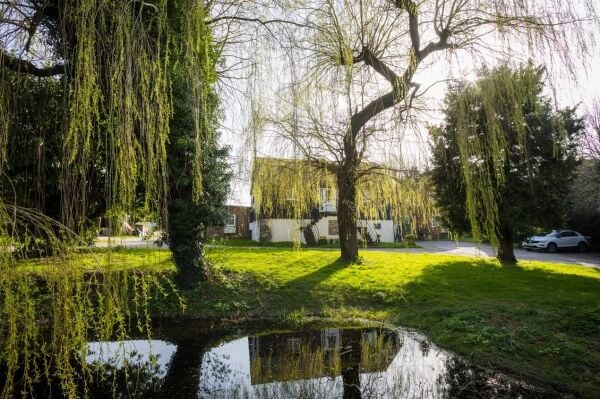 Established Bridal Boutique - Kingsclere Established Bridal Boutique - Kingsclere