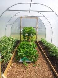 Manufacture and sale of polytunnels Manufacture and sale of polytunnels