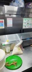 Fast Food Takeaway for Sale in Preston, Lancashire