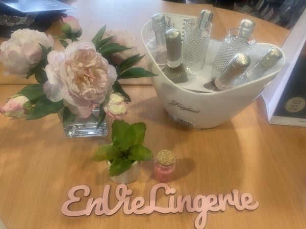 28 Years of Elegance – Established Lingerie Boutique for Sale