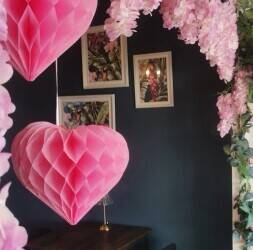 Fully established, Turnkey, Cafe/Bistro