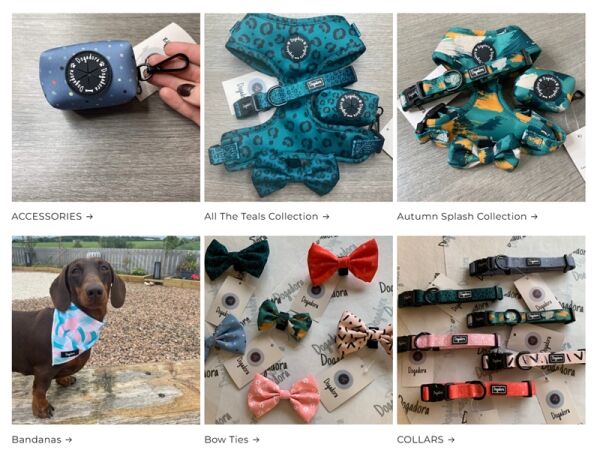 Unleash the Potential of This Established Online Dog Brand