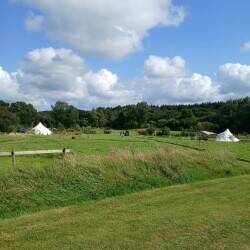 Natural meadow campsite Photo 1