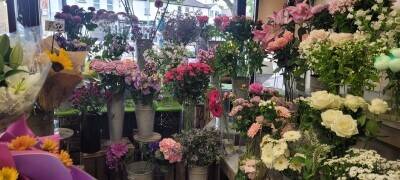 Florist and Fruit & Vegetable Greengrocers Well Established shop for sale Florist and Fruit & Vegetable Greengrocers Well Established shop for sale