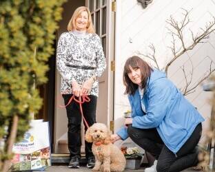 Successful Chichester pet care franchise with huge growth potential for sale Successful Chichester pet care franchise with huge growth potential for sale