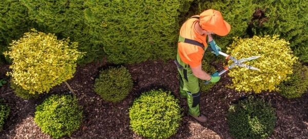 Specialist Garden Maintenance & Landscaping Business with Loyal Client Base
