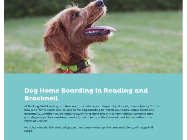 Fetch Your Dream Career with Barking Mad!