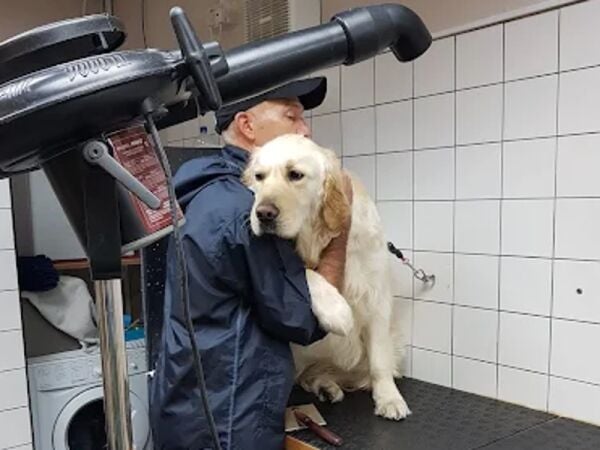 Pampered Pets Paradise – Established Dog & Cat Grooming Salon